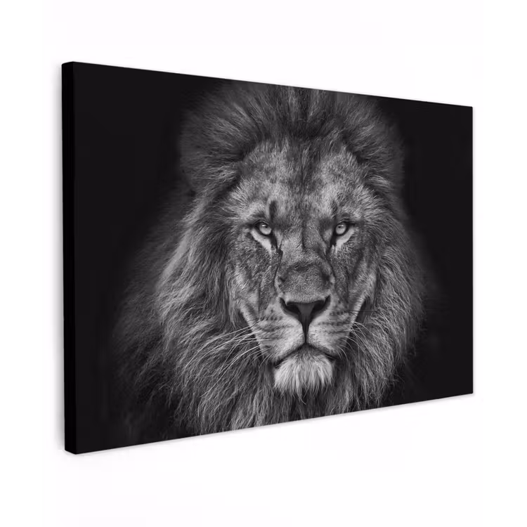 Canvas schilderij - Leeuw - Dieren - Zwart - Wit — 1