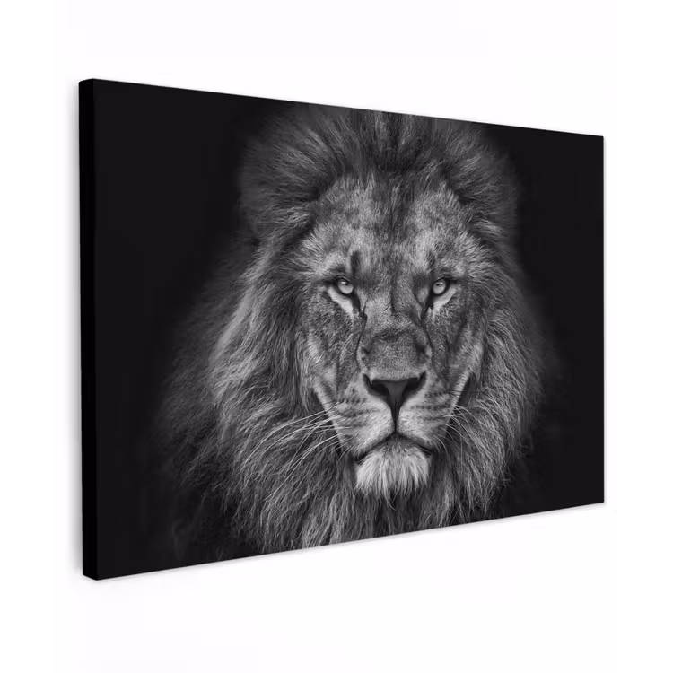 Canvas schilderij - Leeuw - Dieren - Zwart - Wit — 1