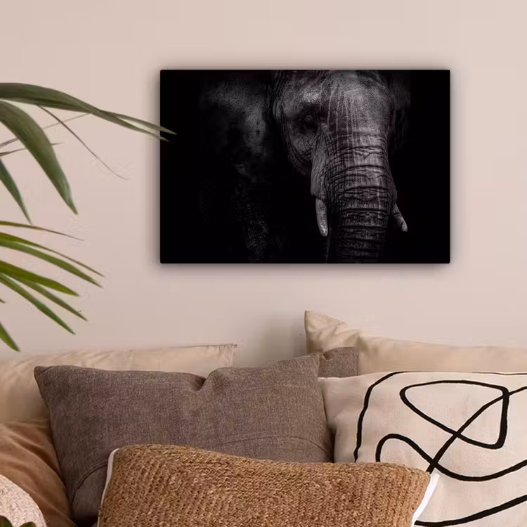 Canvas schilderij - Olifant - Dier - Portret — 2