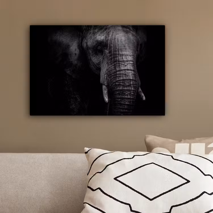 Canvas schilderij - Olifant - Dier - Portret — 3
