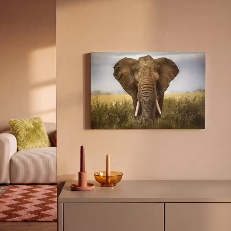 Canvas schilderij - Olifant - Natuur - Gras - Dieren - Landschap — 2