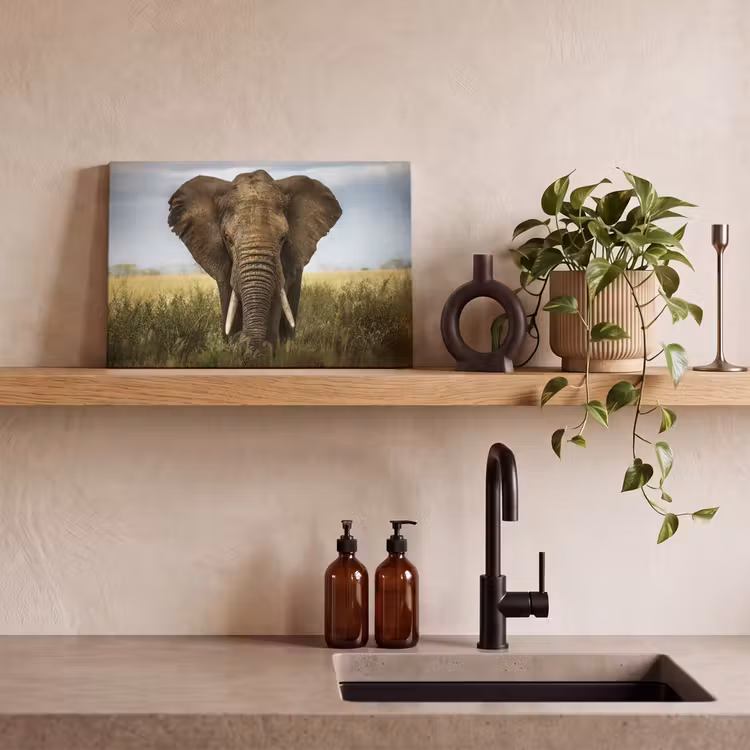 Canvas schilderij - Olifant - Natuur - Gras - Dieren - Landschap — 3