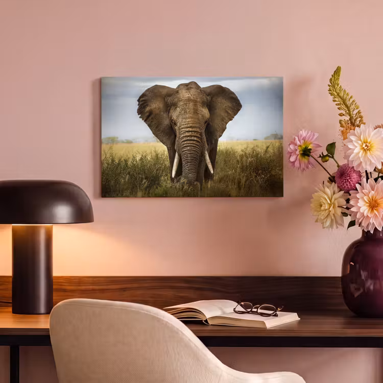 Canvas schilderij - Olifant - Natuur - Gras - Dieren - Landschap — 4