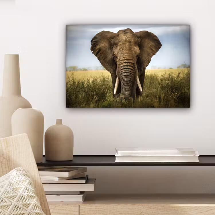 Canvas schilderij - Olifant - Natuur - Gras - Dieren - Landschap — 5