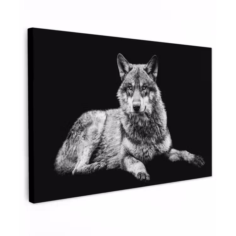 Canvas schilderij - Wilde dieren - Wolf - Zwart - Wit — 1