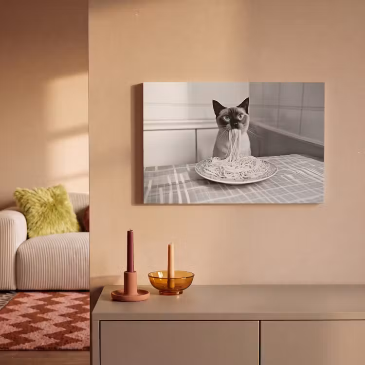Canvas schilderij - Kat - Siamees - Zwart Wit - Schattig - Dieren — 2
