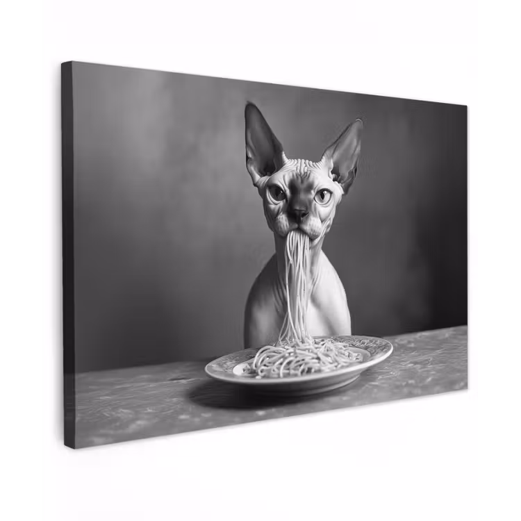 Canvas schilderij - Sphynx - Kat - Dieren - Humor - Spaghetti - Zwart Wit — 1