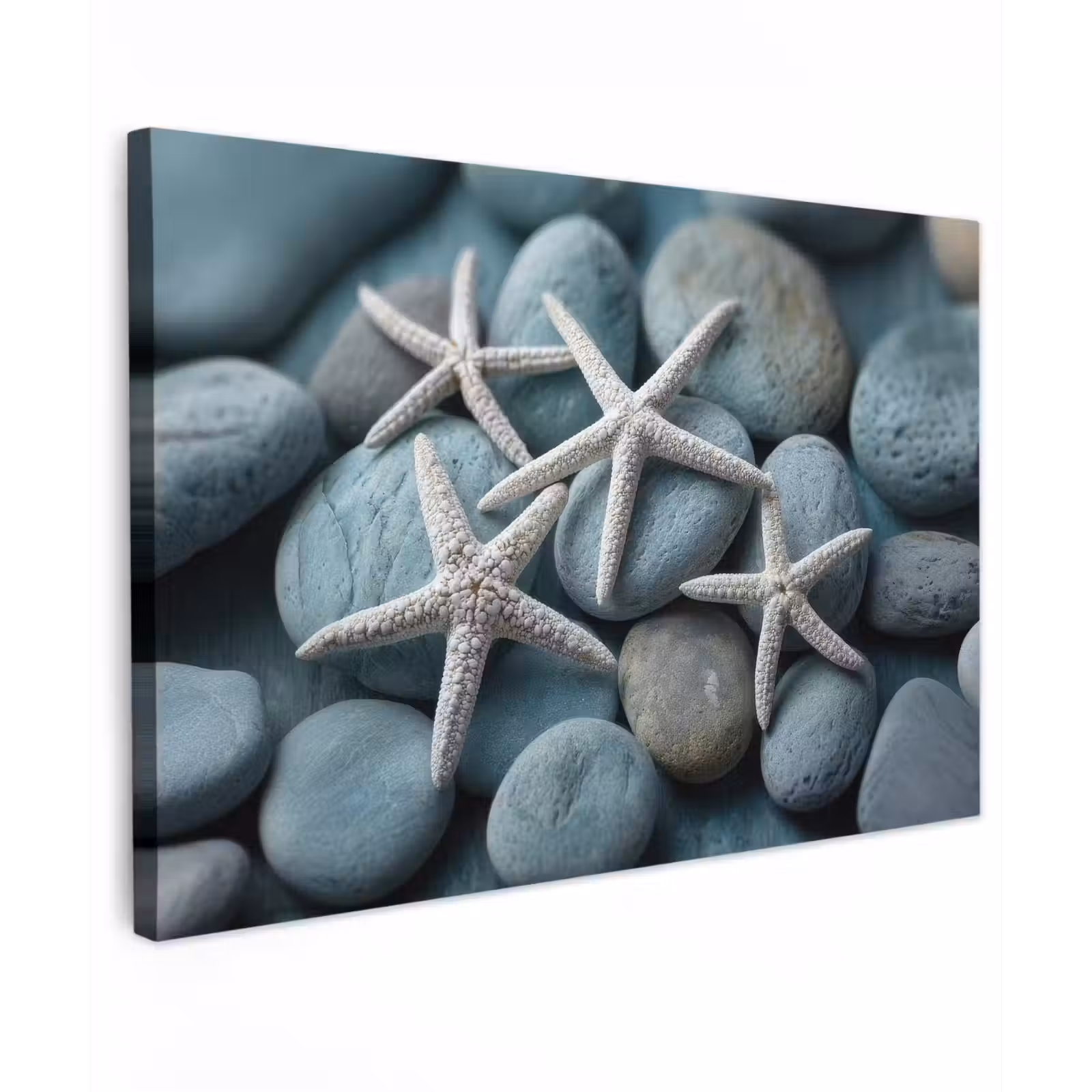 Canvas schilderij - Zeesterren - Stenen - Wit — 1
