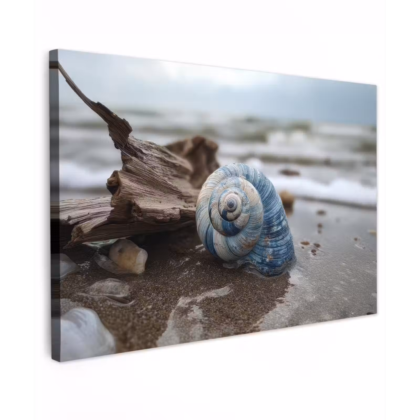 Canvas schilderij - Schelp - Strand - Blauw - Zee — 1