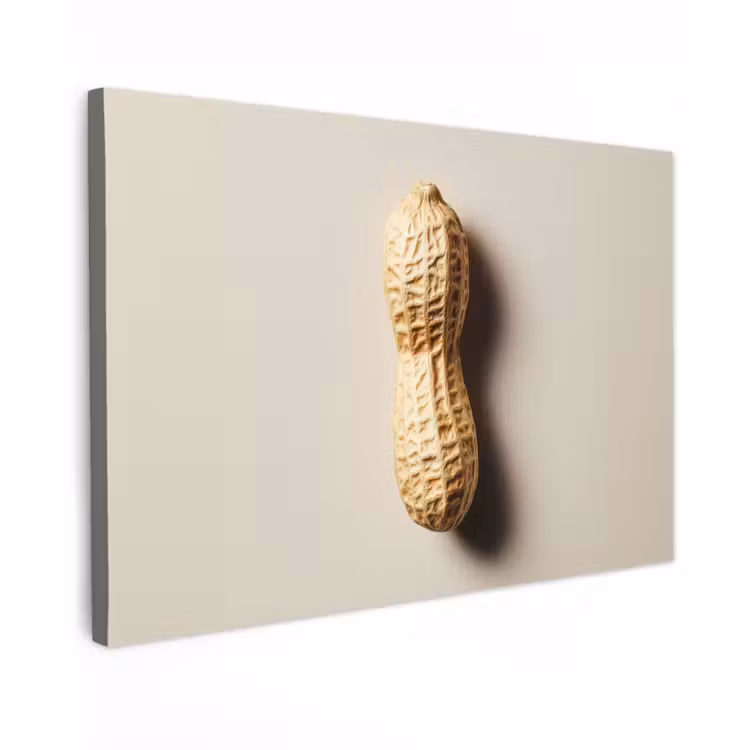 Canvas schilderij - Pinda - Ruw - Beige — 1