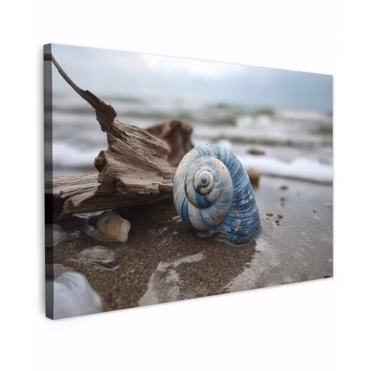 Canvas schilderij - Schelp - Strand - Blauw - Zee — 1