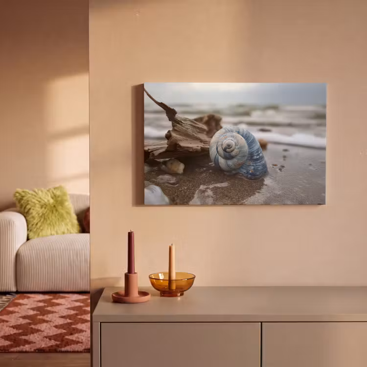 Canvas schilderij - Schelp - Strand - Blauw - Zee — 2