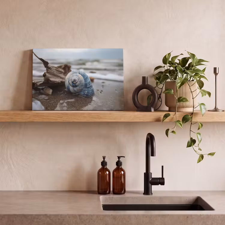 Canvas schilderij - Schelp - Strand - Blauw - Zee — 3