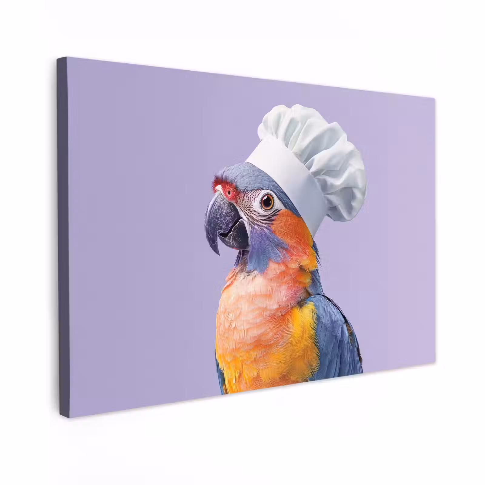 Canvas schilderij - Papegaai - Koksmuts - Paars - Cute — 1