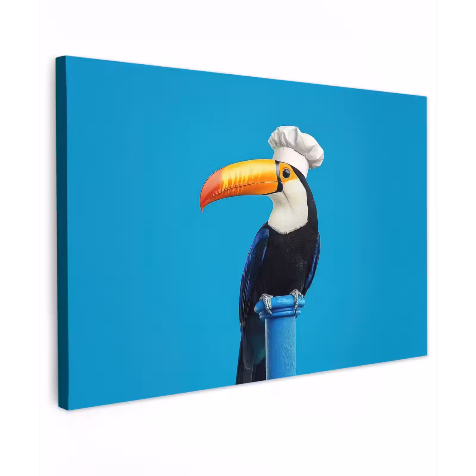 Canvas schilderij - Tucan - Sokkel - Vogel - Koksmuts — 1