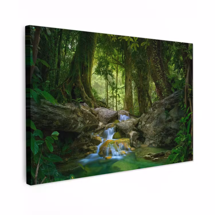 Canvas schilderij - Jungle - Stenen - Water - Natuur - Planten — 1