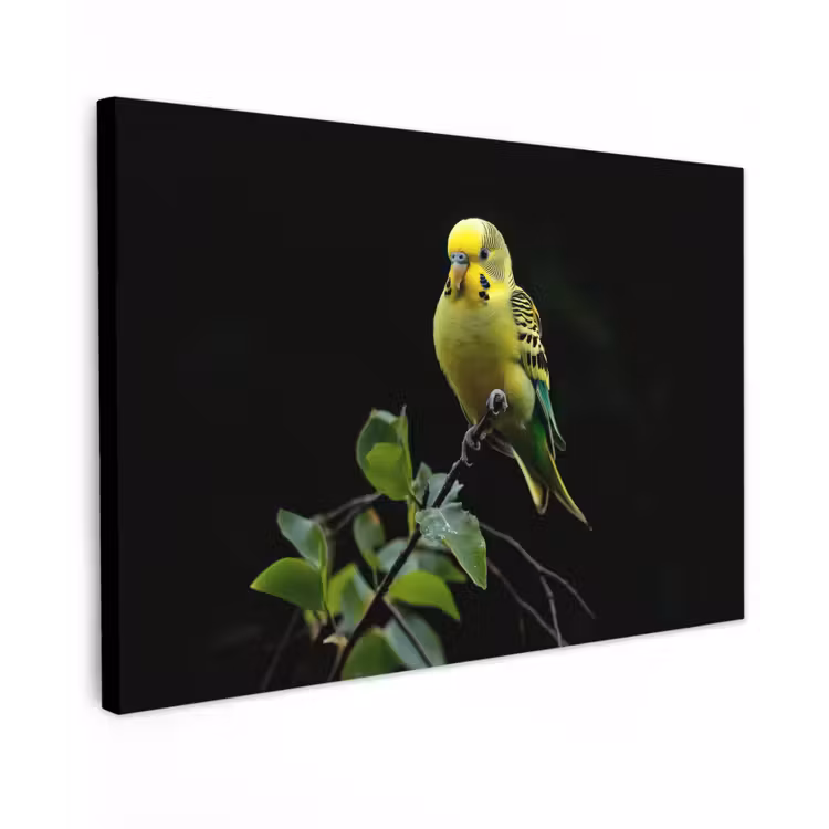 Canvas schilderij - Parkiet - Tak - Bladeren - Geel — 1