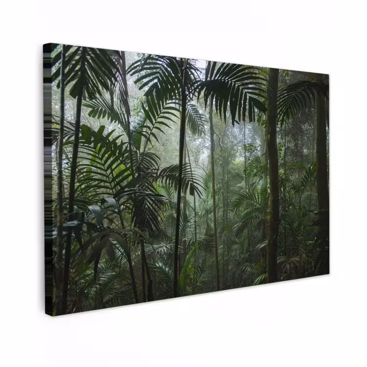 Canvas schilderij - Regenwoud - Tropisch - Jungle - Bomen - Planten — 1