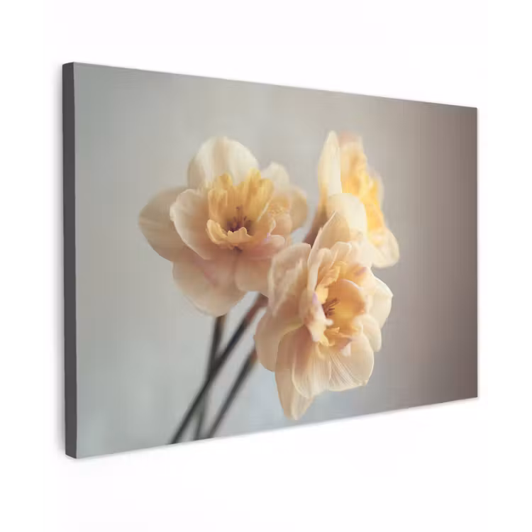 Canvas schilderij - Narcissen - Geel - Bloemblaadjes — 1