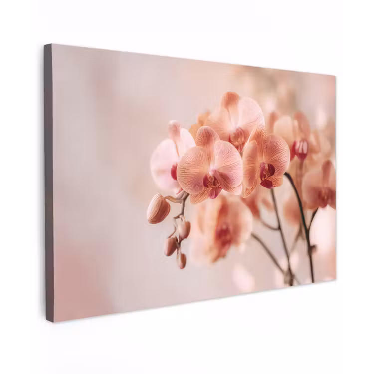 Canvas schilderij - Orchidee - Bloemen - Roze - Bloemblaadjes — 1