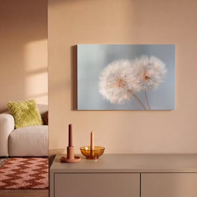 Canvas schilderij - Paardenbloemen - Pluisjes - Wit — 2
