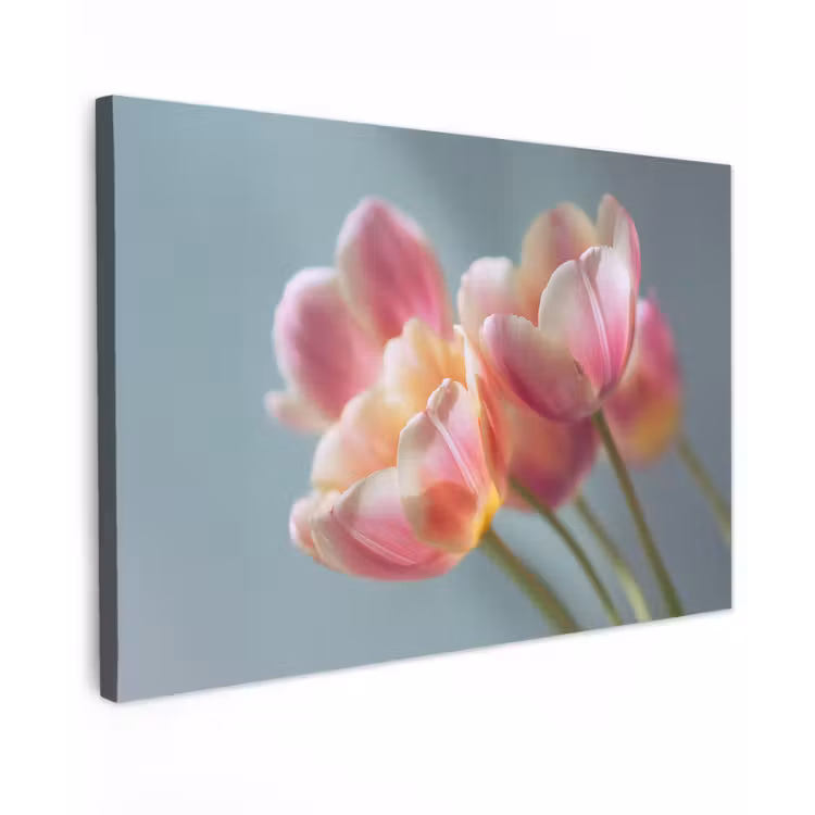 Canvas schilderij - Tulpen - Roze - Stelen — 1