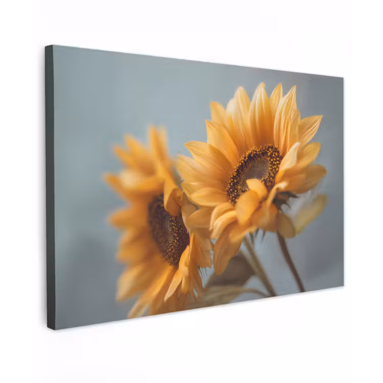 Canvas schilderij - Zonnebloemen - Geel - Wazig — 1