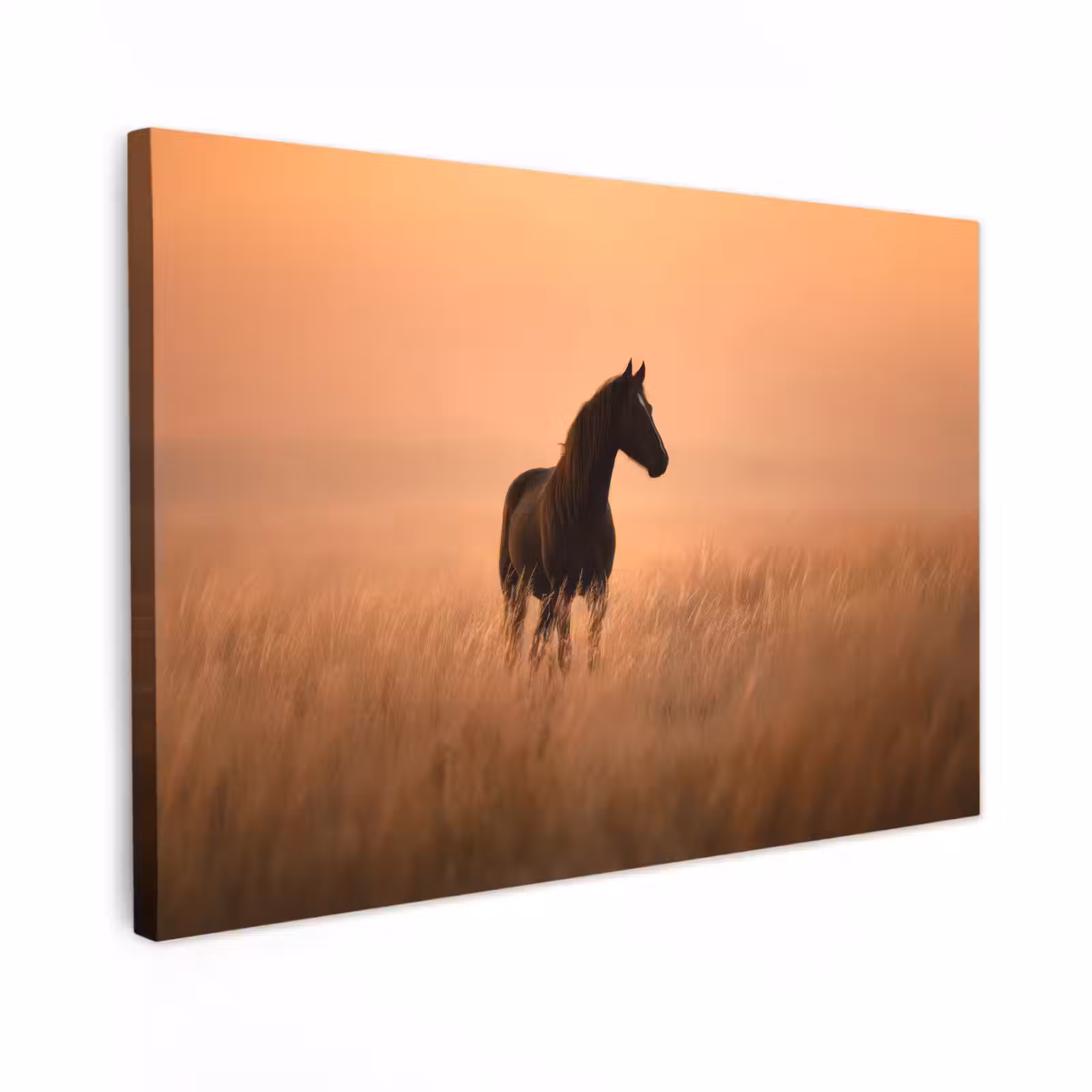 Canvas schilderij - Paard - Grasveld - Zonsondergang — 1