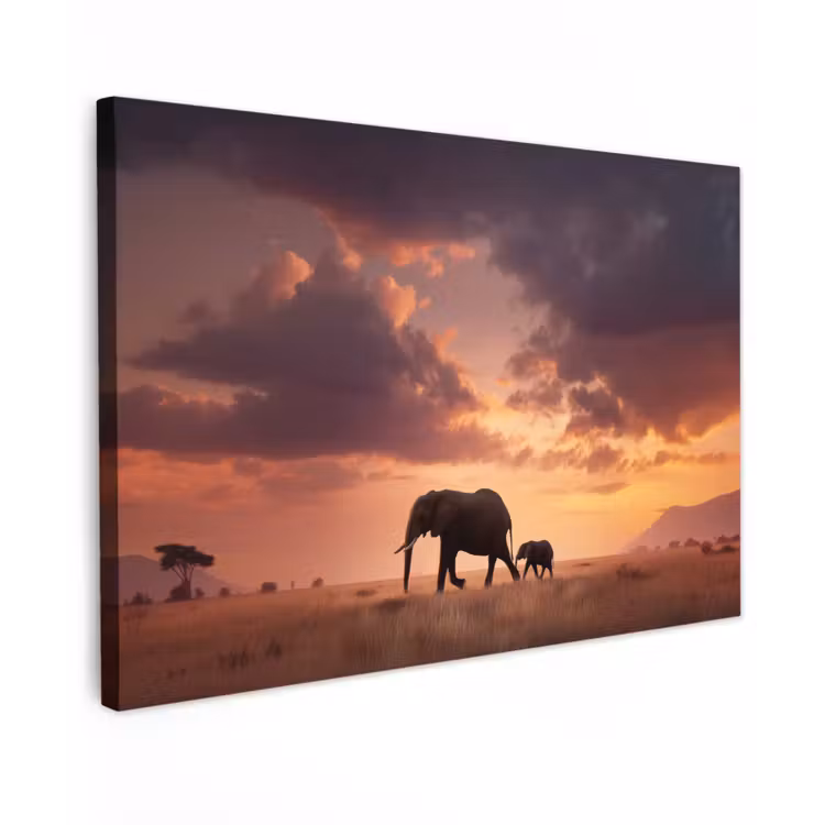 Canvas schilderij - Olifanten - Grasland - Zonsondergang — 1