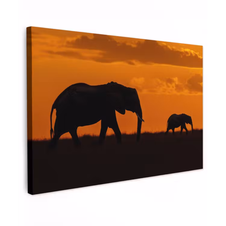 Canvas schilderij - Olifanten - Savanne - Zonsondergang — 1