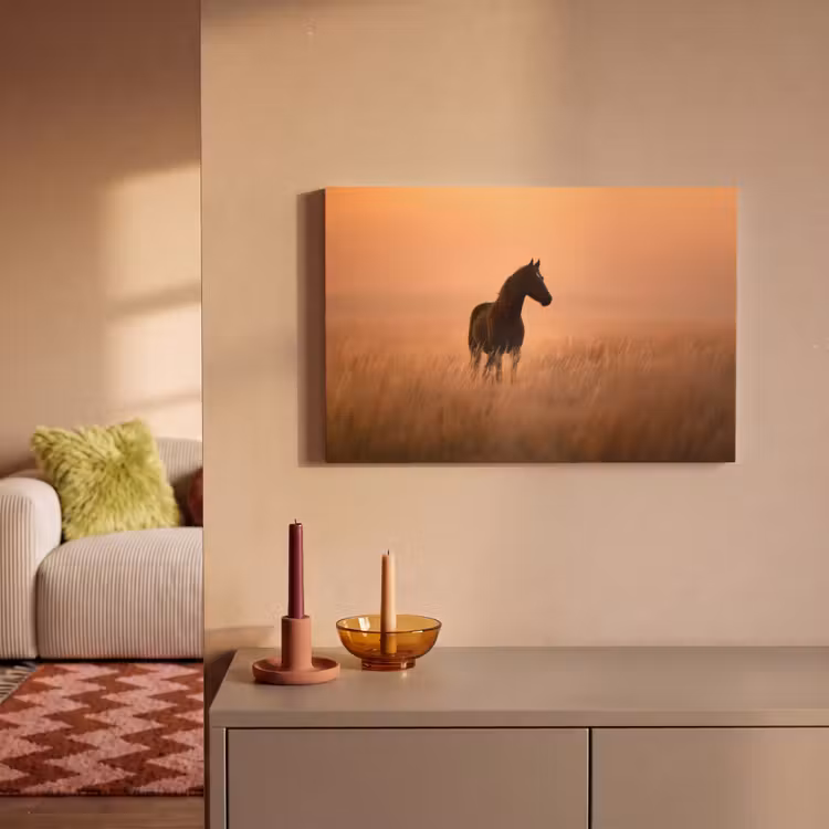 Canvas schilderij - Paard - Grasveld - Zonsondergang — 2