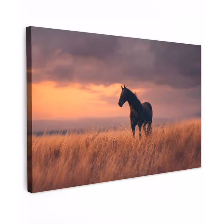 Canvas schilderij - Paard - Wolken - Open veld — 1