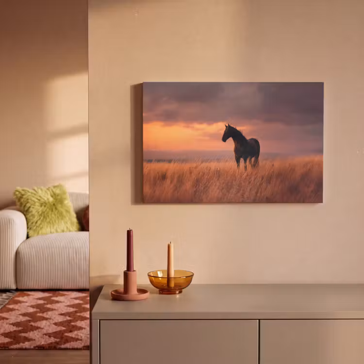 Canvas schilderij - Paard - Wolken - Open veld — 2
