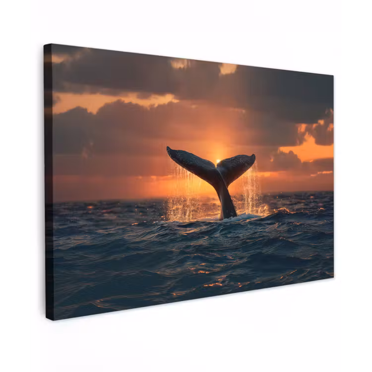 Canvas schilderij - Walvis staart - Water - Zonsondergang — 1