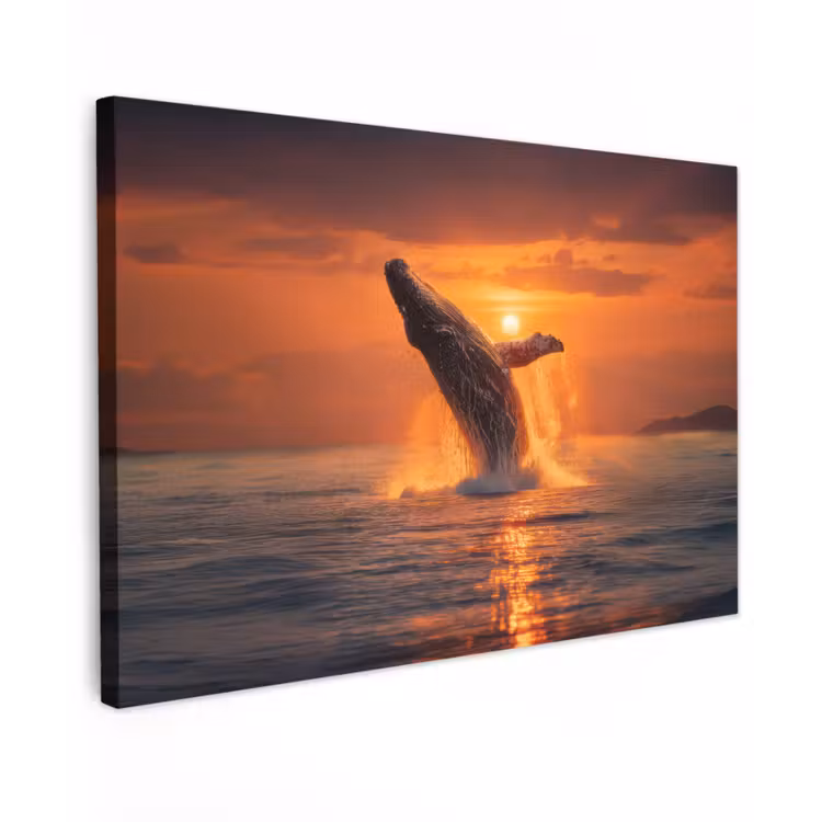 Canvas schilderij - Walvis - Zon - Zee — 1