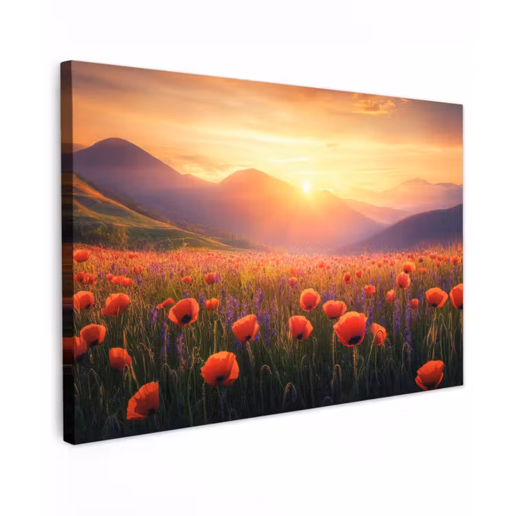 Canvas schilderij - Landschap - Zonsondergang - Bloemenveld — 1