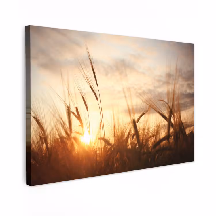 Canvas schilderij - Riet - Gras - Zonsondergang - Natuur - Horizon — 1