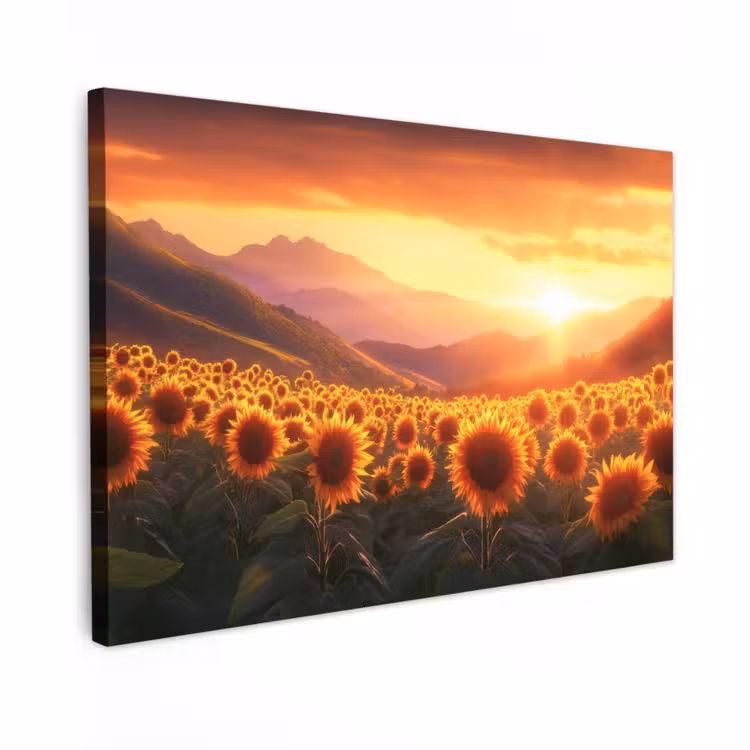 Canvas schilderij - Zonnebloemen - Zonsondergang - Landschap — 1