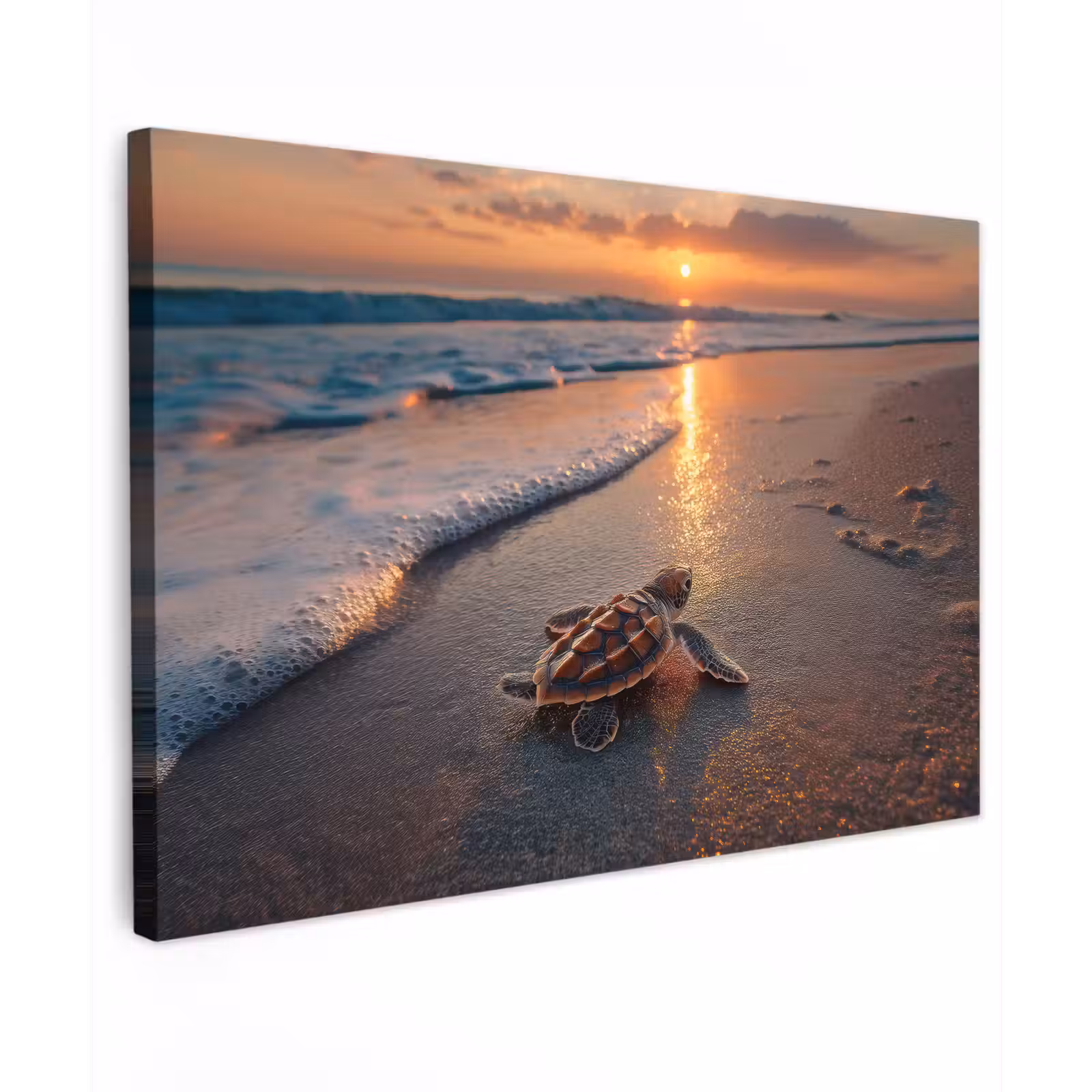 Canvas schilderij - Schildpad - strand - Zonsondergang — 1