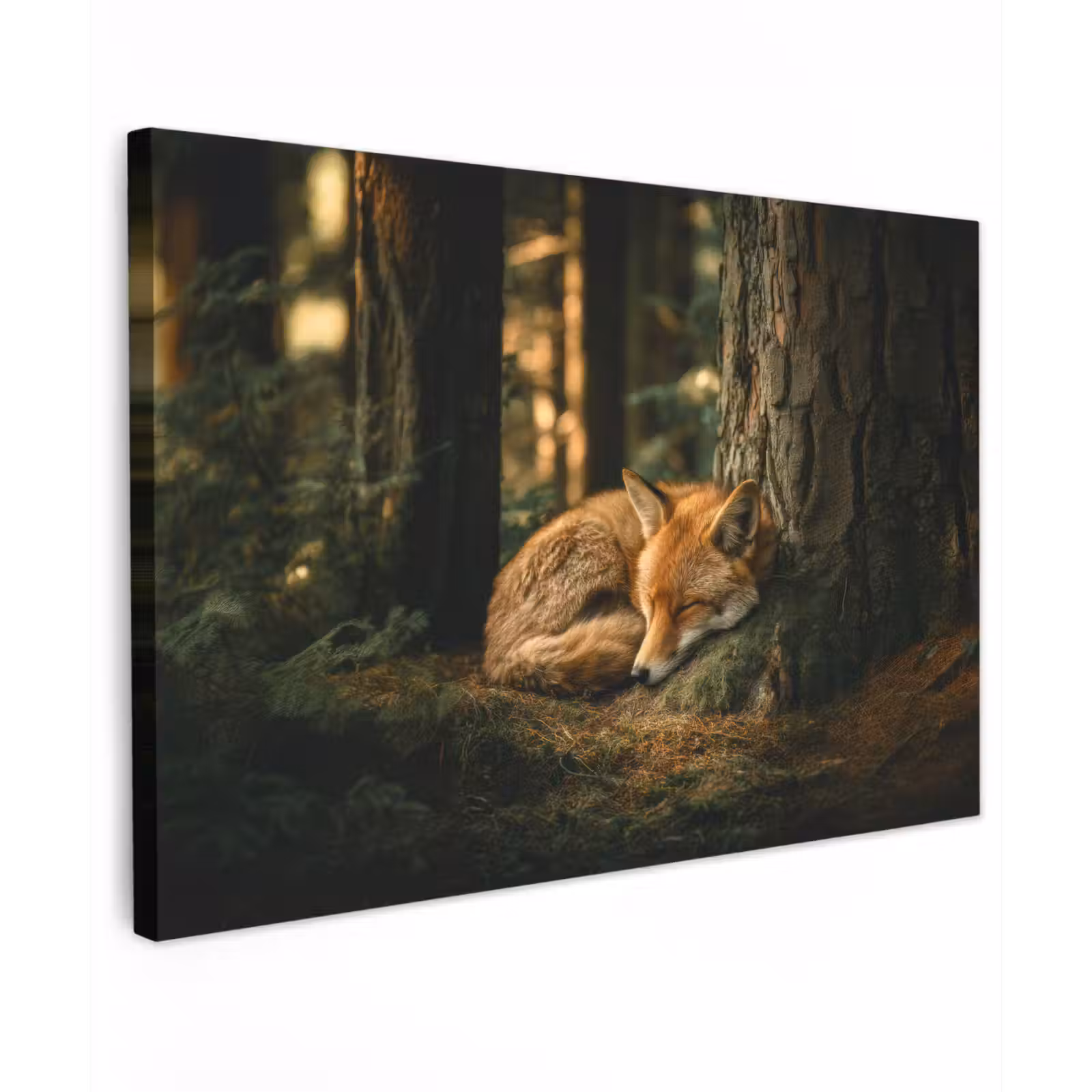 Canvas schilderij - Vos - Bos - Slapen — 1