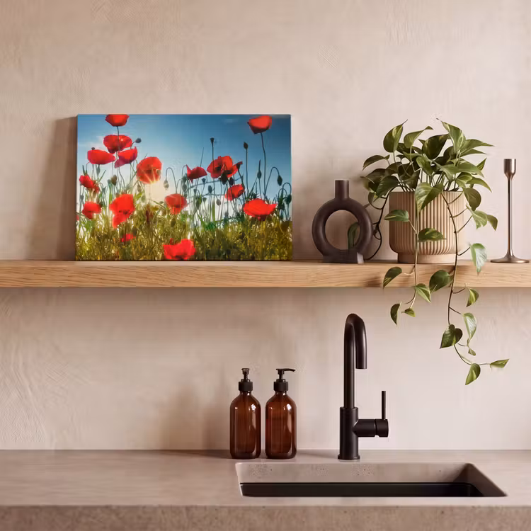 Canvas schilderij - Klaprozen - Toscane - Zon - Rood - Blauw — 3