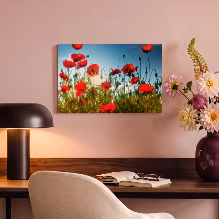 Canvas schilderij - Klaprozen - Toscane - Zon - Rood - Blauw — 4
