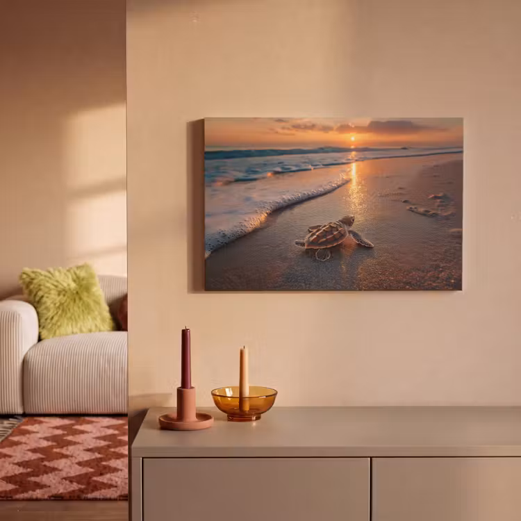 Canvas schilderij - Schildpad - strand - Zonsondergang — 2
