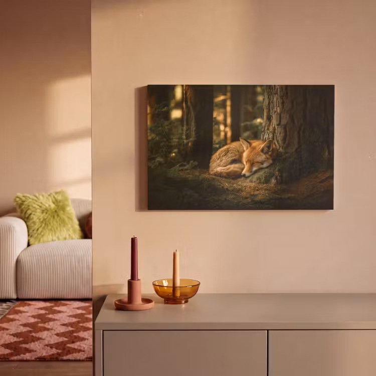 Canvas schilderij - Vos - Bos - Slapen — 2