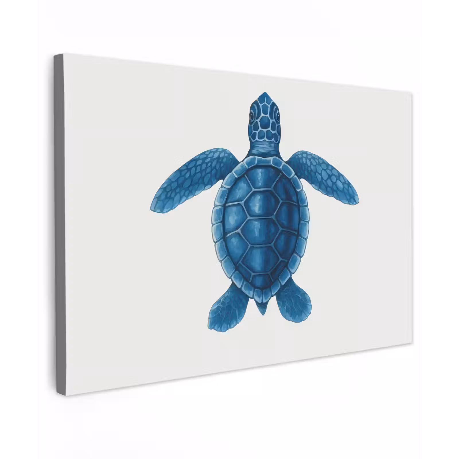 Canvas schilderij - Schildpad - Blauw - Schild — 1