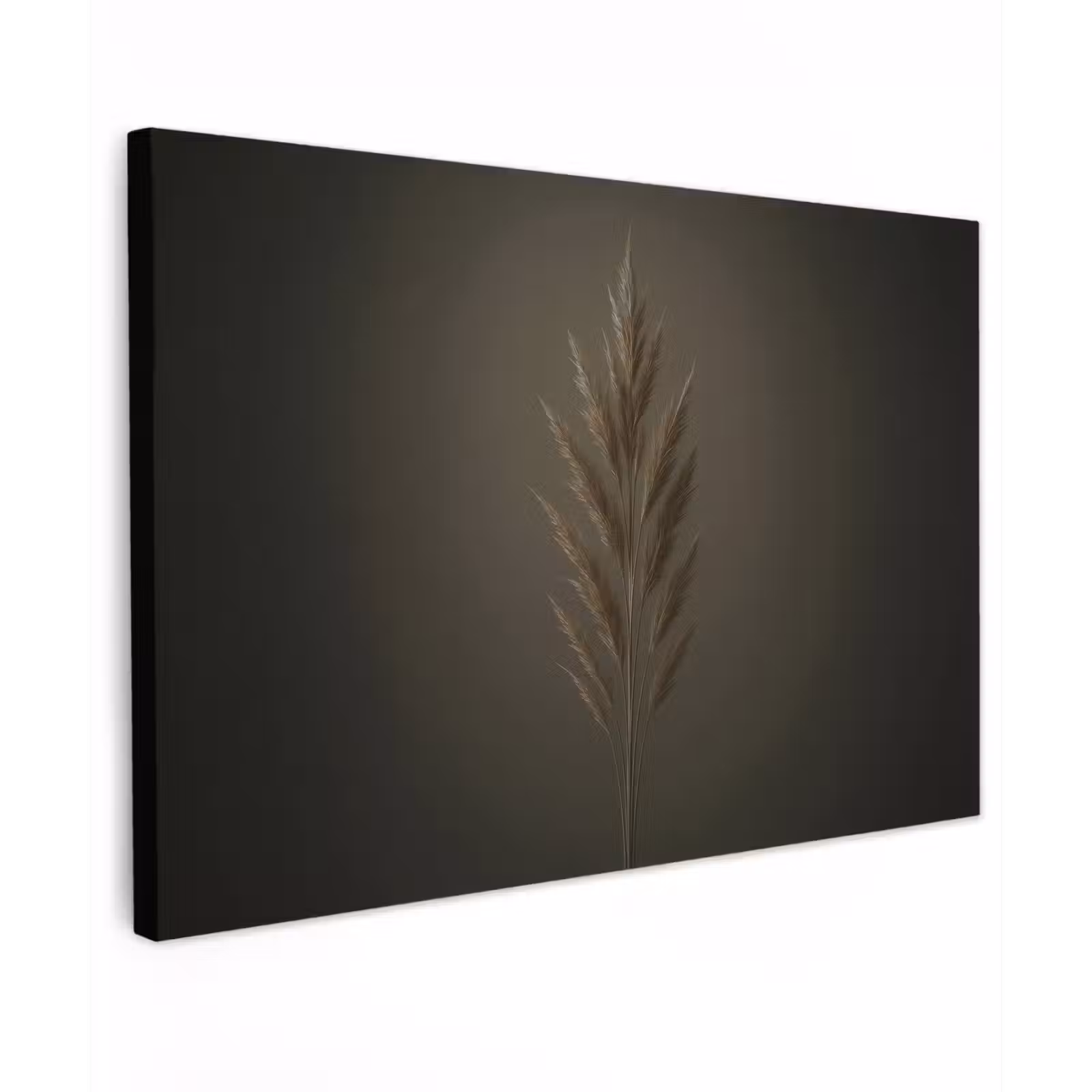 Canvas schilderij - Tak - Pluimgras - Donkerbruin — 1