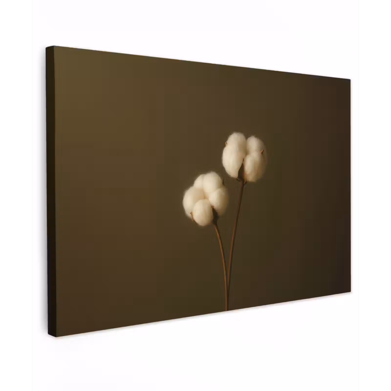 Canvas schilderij - Takken - Katoen - Wit - Bollen — 1