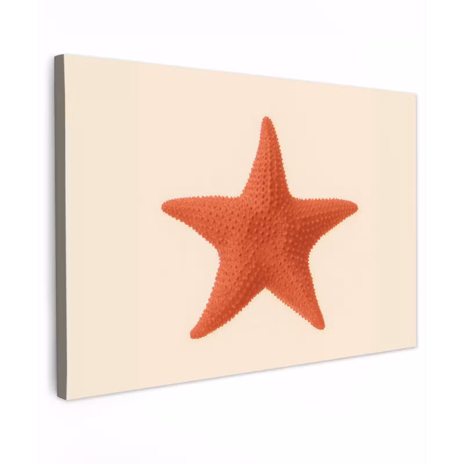 Canvas schilderij - Zeester - Bobbels - Rood — 1