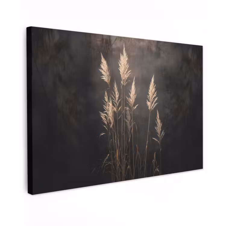Canvas schilderij - Siergras - Pluimen - Verlichting - Zwart — 1