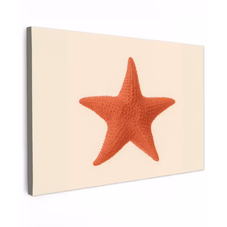 Canvas schilderij - Zeester - Bobbels - Rood — 1